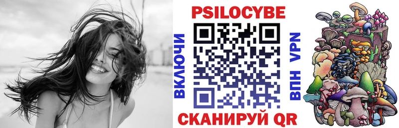 Псилоцибиновые грибы GOLDEN TEACHER  Купить  Краснообск 