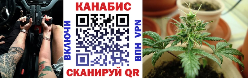 Бошки марихуана марихуана  Купить закладки  Краснообск 